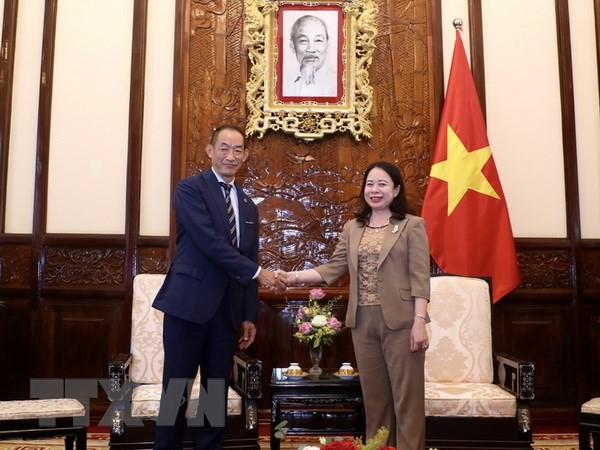Vice President appreciates WHO’s assistance for Vietnam’s health sector - ảnh 1