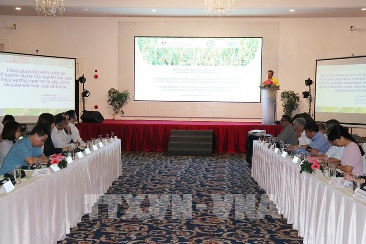 Farmers in Mekong Delta join greenhouse gas emission reduction program  - ảnh 1