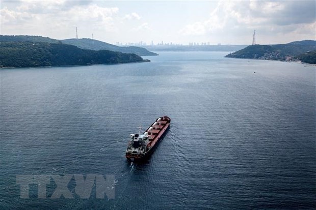 First Ukraine grain ship docks in Turkey   - ảnh 1