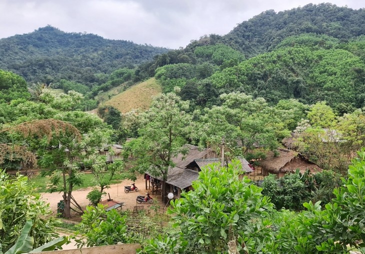 Quang Binh develops mountain areas’ economy - ảnh 1