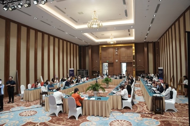 Vietnam consults international experts on draft Law for Gender Transformation - ảnh 1