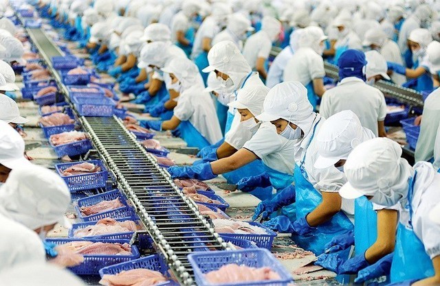 Seafood exports aim for new record - ảnh 1