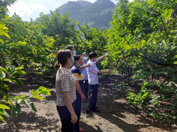 The story of “digital farmers” in mountain areas - ảnh 1