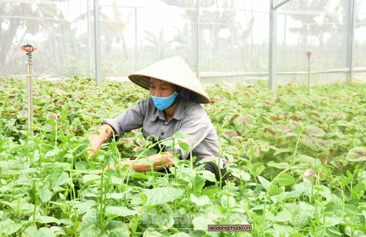 Factors of agricultural and rural development - ảnh 1