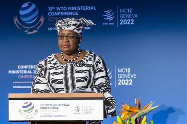 WTO chief says global economy is heading into a recession  - ảnh 1