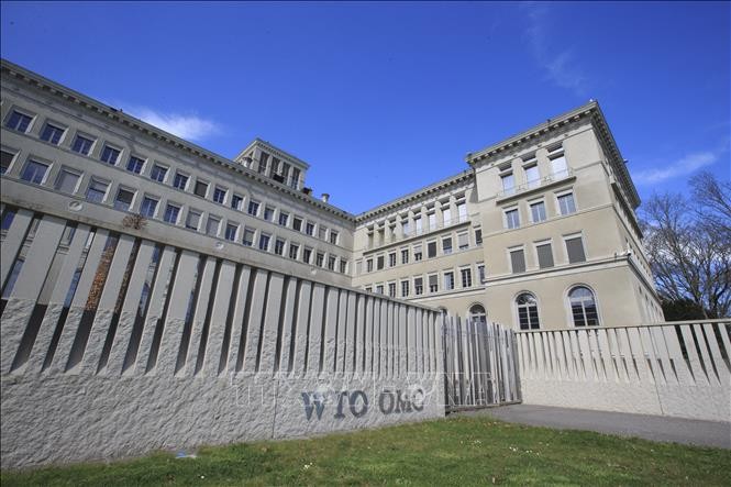 WTO lowers 2023 global trade growth forecast - ảnh 1