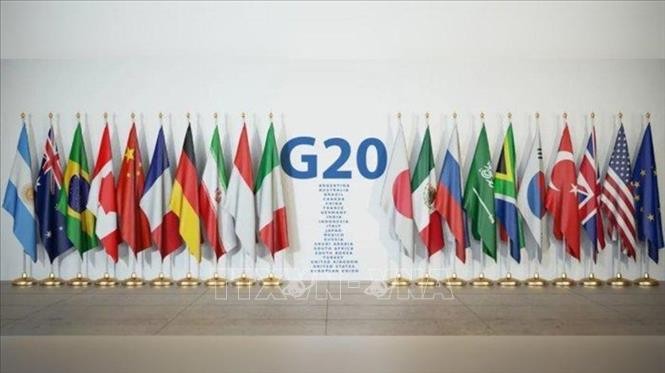 UN chief calls for G20’s cooperation on climate issues - ảnh 1