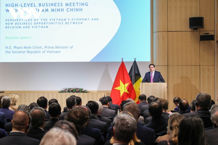 PM’s visit to Luxembourg, Netherlands, and Belgium a success - ảnh 3