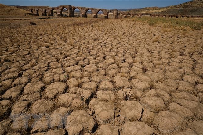 2022, the hottest year ever in Spain   - ảnh 1