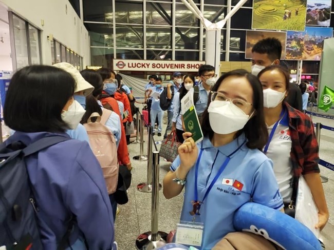 Vietnam sets to send 110,000 workers abroad - ảnh 1