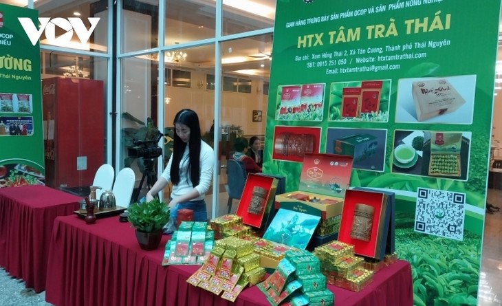 Thai Nguyen tea industry strives to achieve 1 billion USD revenue target  - ảnh 1