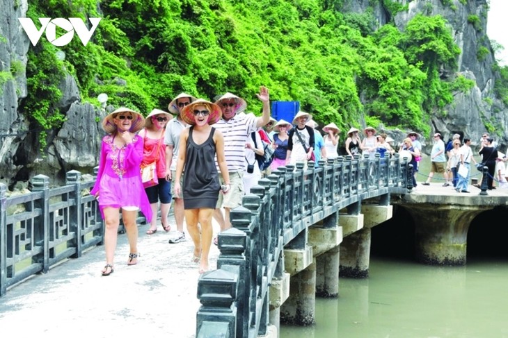 Tourism sector reforms to attract more foreign visitors - ảnh 1