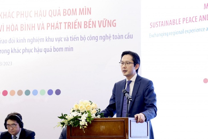 Vietnam strengthens international cooperation in landmines clearance - ảnh 2