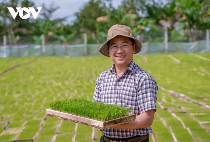 Quang Tri sends first shipment of organic rice to Europe  - ảnh 1