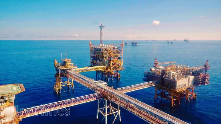  Petrovietnam attains remarkable growth in crude oil and petroleum production  - ảnh 1