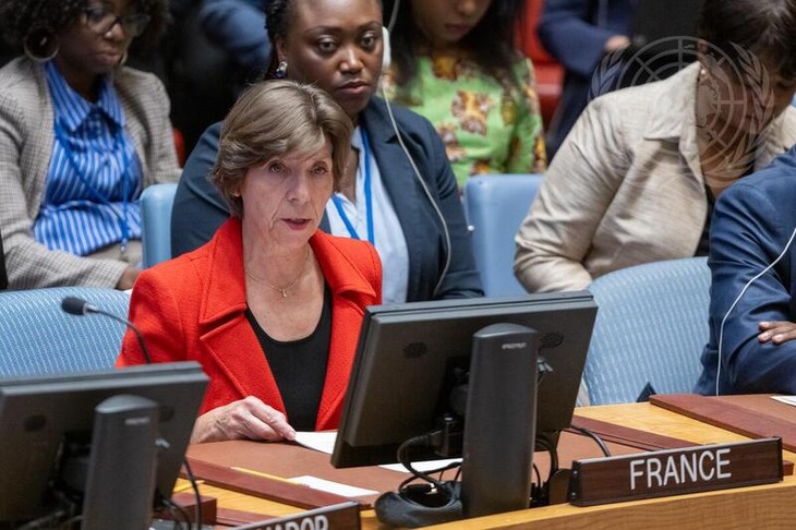 UN Security Council to vote on a new Gaza resolution  - ảnh 2