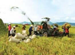 Elever la qualité des produits agricoles vietnamiens - ảnh 1