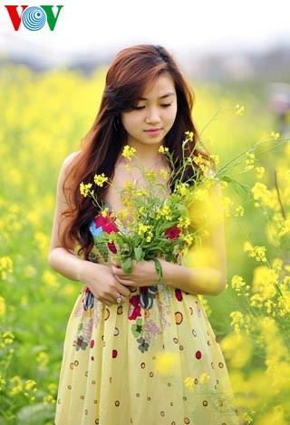 Le printemps s'empare des champs de fleurs de moutarde - ảnh 8