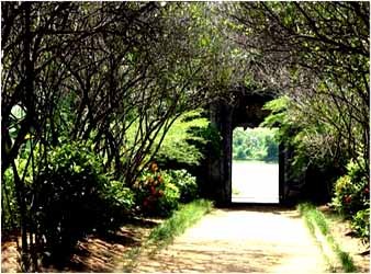 Visiter les maison-jardins à Hué - ảnh 1
