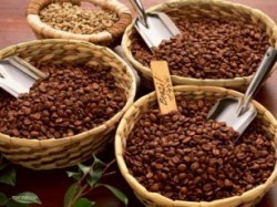 Vietnam, premier exportateur mondial du café vers un développement durable - ảnh 3