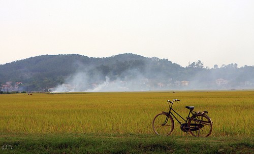 Nouvelle ruralité : la province de Bac Ninh a pris un départ canon - ảnh 2