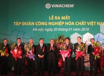 Projet de restructuration du groupe de l'industrie chimique du Vietnam - ảnh 1