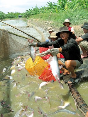 Le Vietnam pourra porter plainte contre la taxe anti-dumping imposée par le DOC - ảnh 1