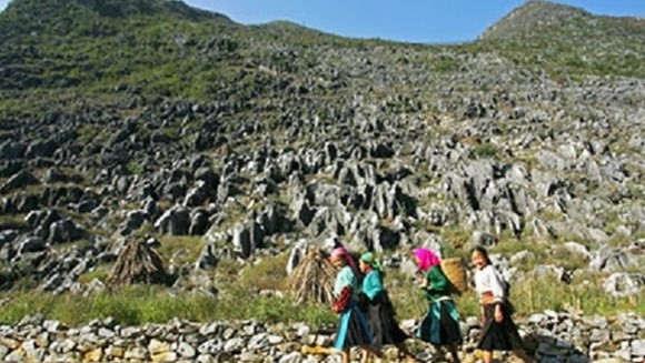 Publication du plan d’aménagement global du parc géologique  de Dong Van - ảnh 1