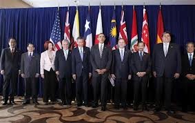 Les entreprises américaines soutiennent la participation du Vietnam au TPP - ảnh 1