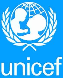 Publication mondiale du rapport de l’UNICEF sur la situation des enfants du monde en 2013 - ảnh 1