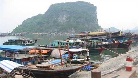 Les localités vietnamiennes appelées à suivre étroitement les évolutions de la tempête Bebinca - ảnh 1
