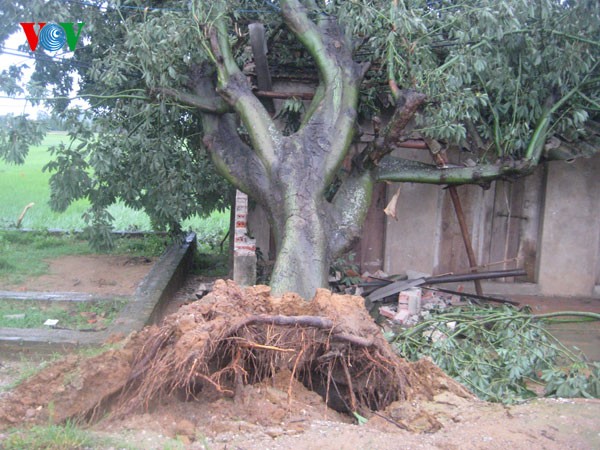Des localités vietnamiennes réparent les dégâts causés par la tempête Mangkhut - ảnh 1