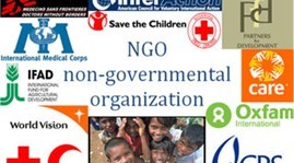 Améliorer l’efficacité des projets des ONG étrangères au Vietnam - ảnh 1