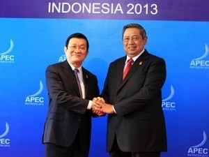 Valoriser le rôle du Vietnam au sein de l’APEC - ảnh 1