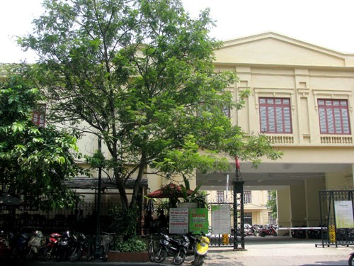 Le musée national d’Histoire vietnamienne - ảnh 2