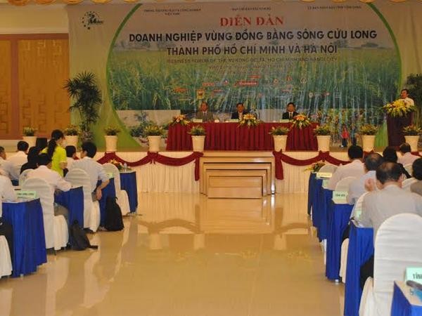Forum des entreprises du delta du Mékong, de Hanoi et de Ho Chi Minh ville - ảnh 1