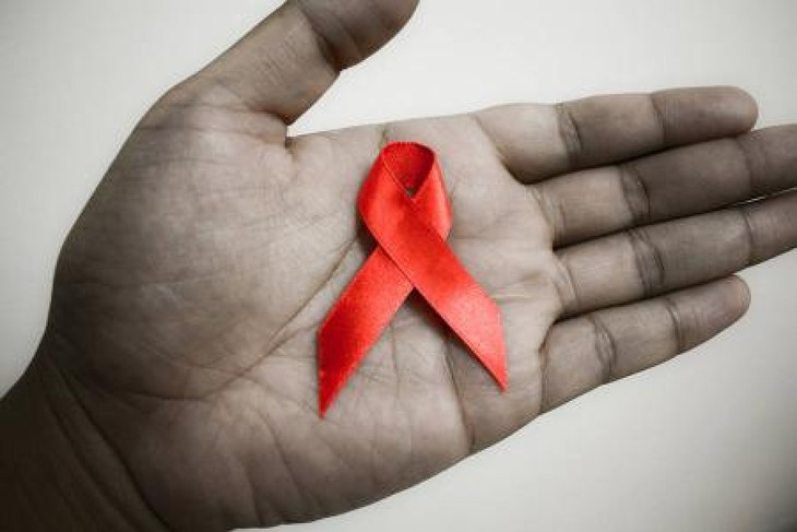 Diversifier les ressources pour lutter contre le SIDA - ảnh 1