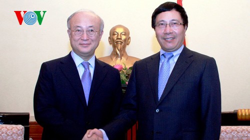 Pham Binh Minh reçoit le chef de l’AIEA  - ảnh 1