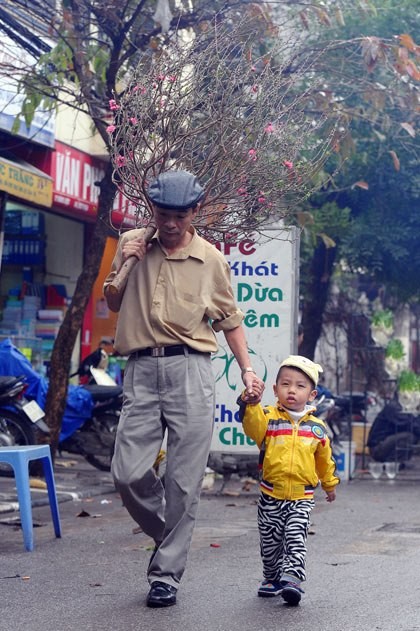 Les marchés aux fleurs de Hanoi - ảnh 6