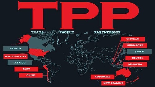 Le Vietnam participe activement aux négociations sur l’accord de TPP  - ảnh 1