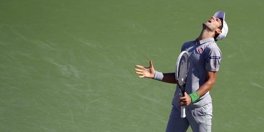Tennis: Djokovic remporte Indian Wells contre Federer - ảnh 1