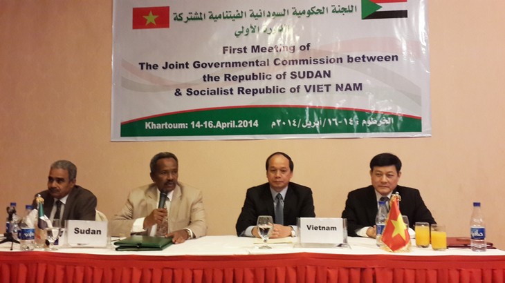 Intensifier la coopération multisectorielle Vietnam-Soudan - ảnh 1