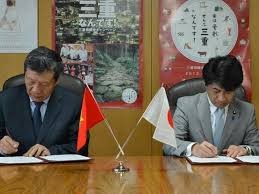Vietnam-Japon : signature d’un accord de coopération en matière de travail - ảnh 1