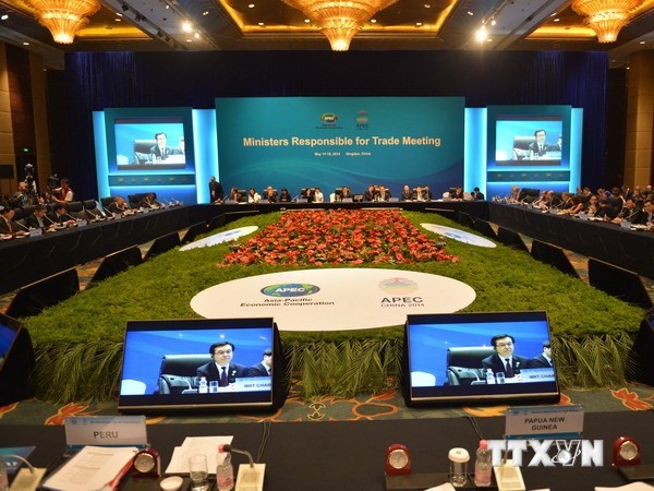 Clôture de la conférence des ministres de l'APEC 2014 - ảnh 1