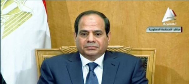 Egypte : Al-Sissi refuse de « s’ingérer » dans les affaires judiciaires - ảnh 1