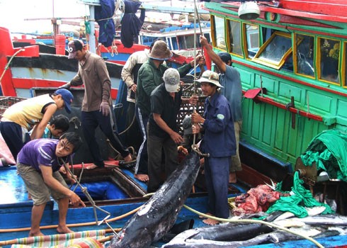 De nouvelles politiques en faveur des pêcheurs au mois de juillet - ảnh 1