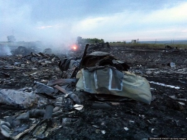Crash du MH17 : réaction de la communauté internationale - ảnh 1