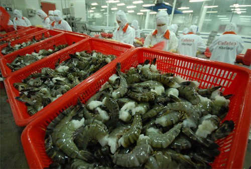 Exportation des crevettes : forte croissance au premier semestre - ảnh 1