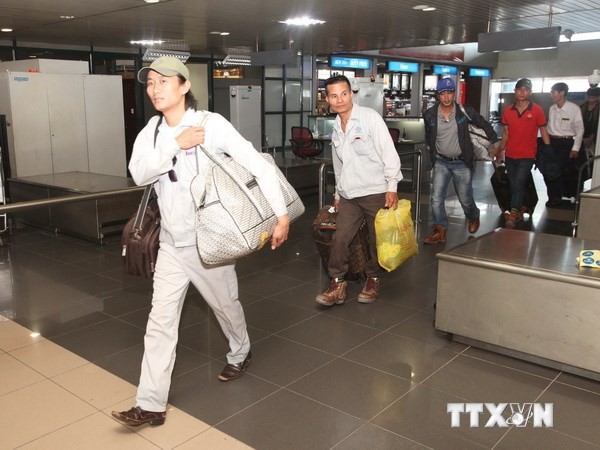 Fin du rapatriement de travailleurs vietnamiens par les vols du Vietnam Airlines - ảnh 1