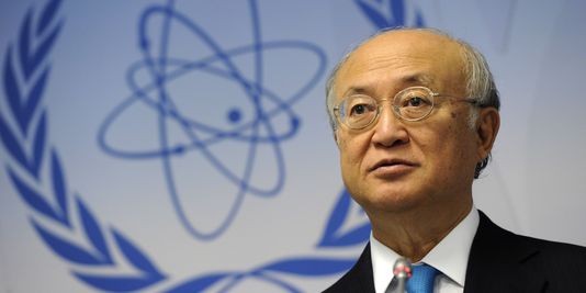 Le chef de l'AIEA est à Téhéran pour faire avancer le dialogue sur le nucléaire - ảnh 1